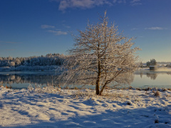 Zima nad jeziorem D. Hutman Ostrowiec.JPG