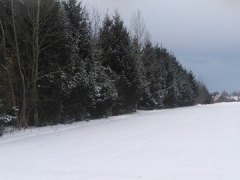 Popo│udnie_zim▒_J._Stŕpie˝_Pieszcz.jpg